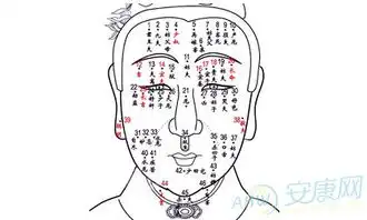 看面相痣位算命图解