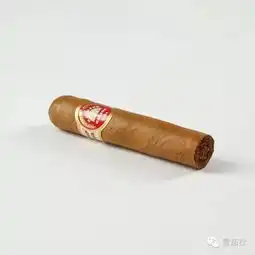 古巴雪茄让文豪们更加才华横溢