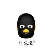 杨清柠王乐乐快手头像微信头像图片大全