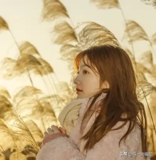 冬日暖阳下的巴溪洲芦苇荡漂亮的沈音女生盛情出镜