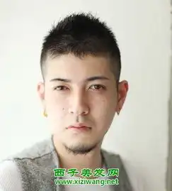 男生两边短的发型图片