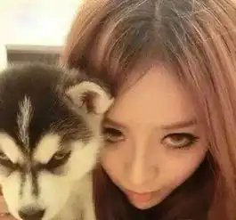 搞笑gif这也太嚣张了吧难道这妹子一点都没感觉到吗