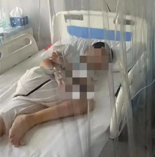 10岁男童患再障,弟弟的脐带血带来治愈希望