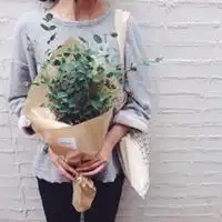 女生头像简约清新森系微信头像图片大全