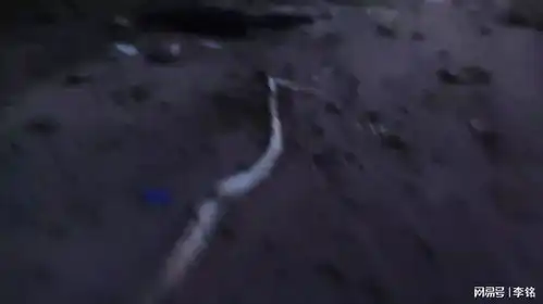 快来投稿啊家人们,要不我只能在老家阴暗的爬行了
