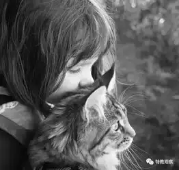 从自闭症到天才画家,是猫咪治愈了她特教分享