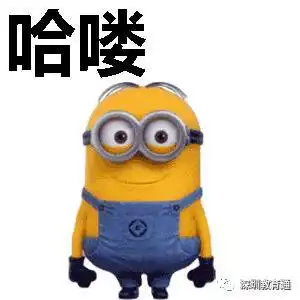 这些学生有福了,清华博士当导师,带着他们玩实验