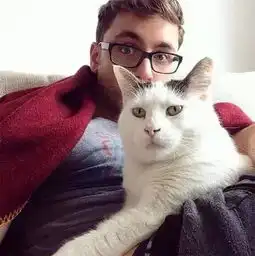 俗话说男不养猫,女不养狗,这是为什么呢