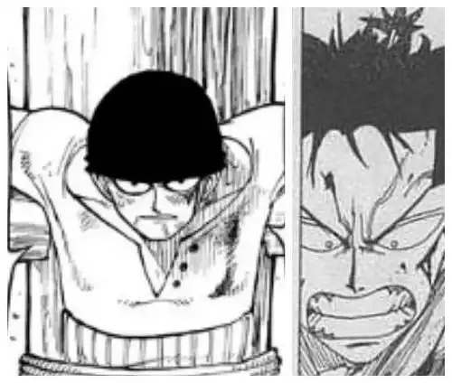 海贼王剑豪和海军大将是亲兄弟,盘点尾田手下共用一张脸的角色