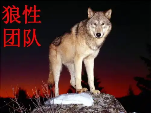 那些家里有矿还跟你抢工作的人