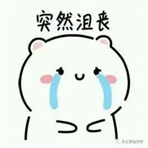 外汇黄金作手交易中的情绪管理喜悦和沮丧