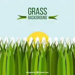 图片免费下载阳光草坪素材阳光草坪模板千图网