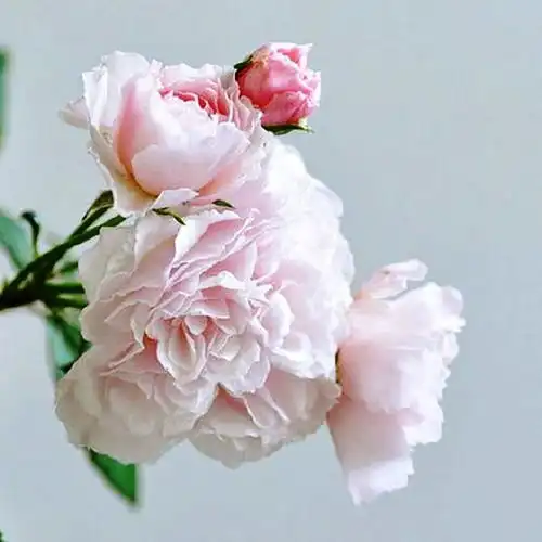 精辟有深意的哲理句子,睿智深刻,大彻大悟