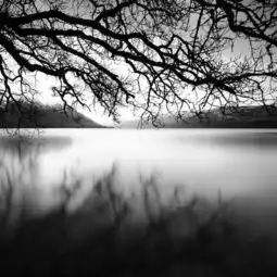 孤独空灵的黑白世界