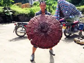 一个男人的60天摩旅修行