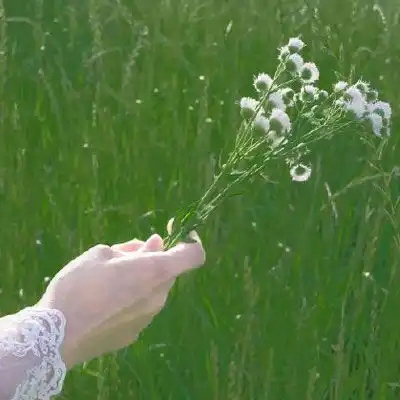 女生绿色头像清新森系2020绿色系小仙女头像