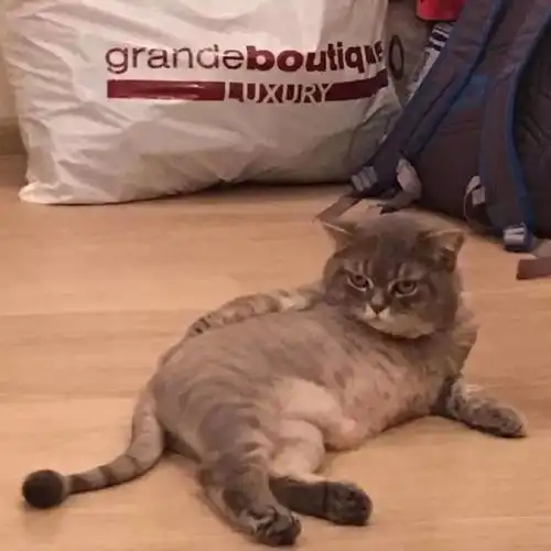 男女生微信头像大全