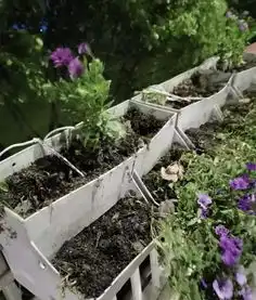 破坏浙江衢江大桥景观花的男子拘留了