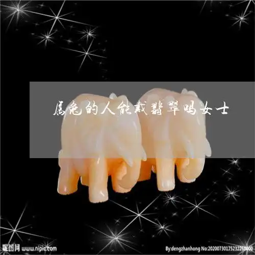 盘点属兔的人能戴翡翠吗女士属兔的戴什么翡翠吊坠好今日推荐资讯2023已更新翡玉专栏