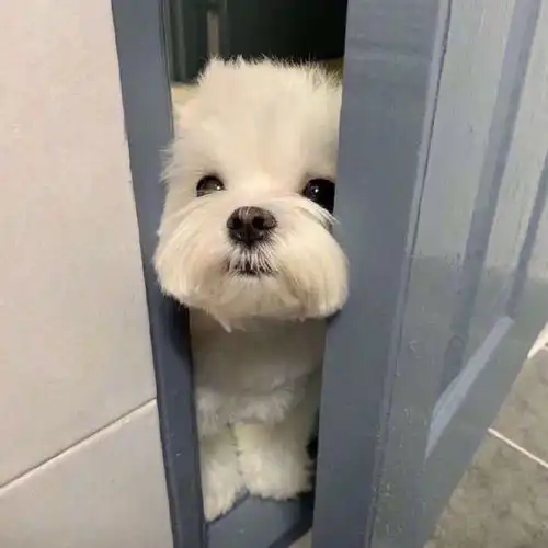 搞怪头像你喜欢哪一张