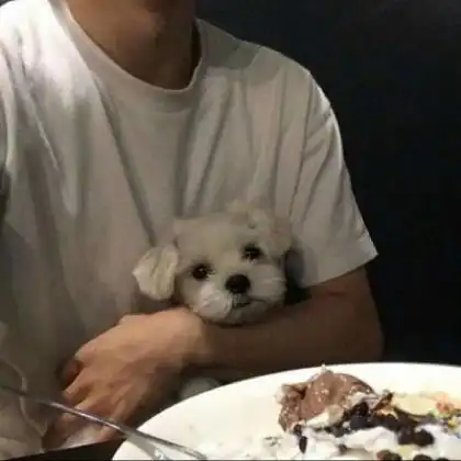 2020帅气冷酷qq头像男生,骄纵的男生最个性