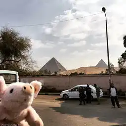 澳男子为寻玩具兔携小猪公仔游世界