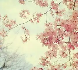 靓图花家居生活旅行风景婚纱婚堆糖,美好生活研究所