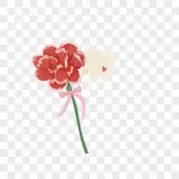 手捧花png图片素材下载手捧花免费图片大全熊猫办公