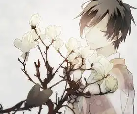 描写动漫帅哥的眼神