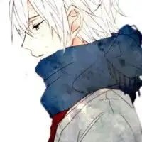 求一些动漫男生头像要240240的