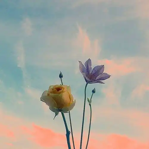 很成熟很现实的人生格言,一般人读不懂