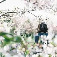 励志花头像图片大全微信头像图片大全