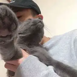 傲义很酷照片傲义很酷相册大全yy官方