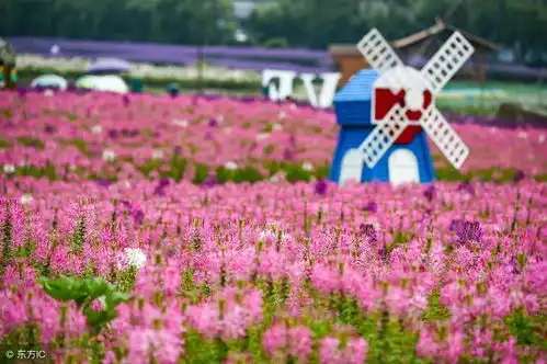 两性心理男人与女人,截然不同的婚姻态度