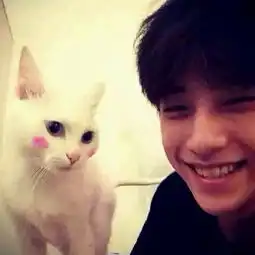 一个黑色衣服男生旁边站了个白色红脸的猫求助情侣头像求速度解答