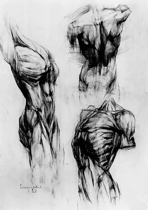 考造型的都看过来从联考头像到半身像,如何在校考素描中脱颖而出