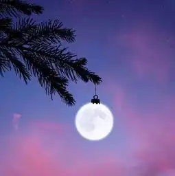 一首没钱的日子句句现实,句句戳心,谁听谁知道