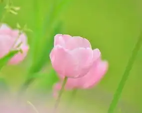 10月开始财神来报道,万事逢凶化吉的生肖,富贵来袭,金玉满堂