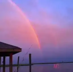 海外幼教一个关于彩虹的美丽谎言,最后的结局,很赞