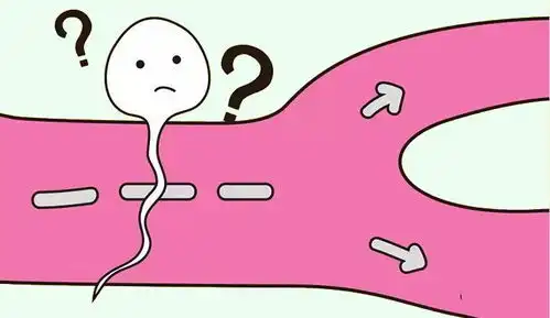 笑快来看看精子的11种悲催死法