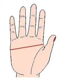 男断掌千金两,女断掌过房养,早婚必离婚的手相