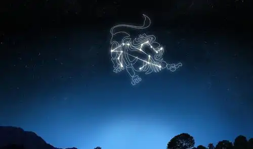 越是爱你,越不主动联系你的星座