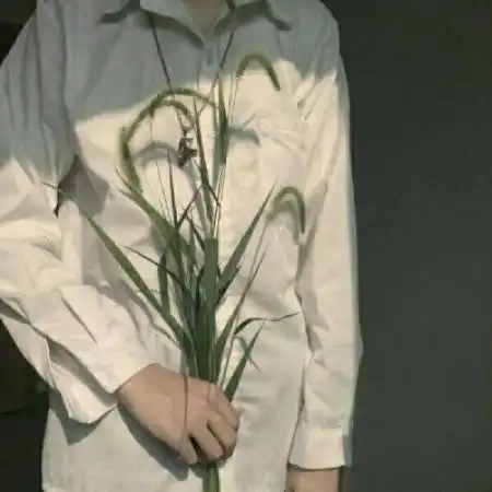 森系唯美男头像半身部位,手捧花的男生