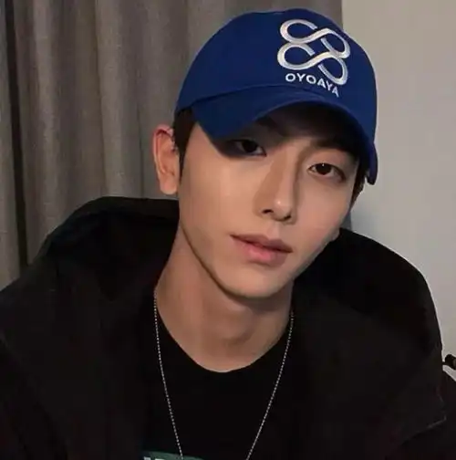 头像丨落叶归根我归你