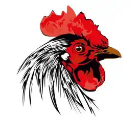 属猴鸡狗人出生在这几个月份最好,吃穿不尽,财源