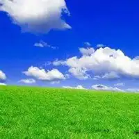 返璞归真的微信头像