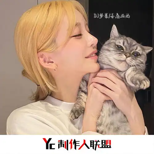 步骤错了就全错了remixdj梦菲高音质在线试听步骤错了就全错了remix歌词歌曲下载酷狗音乐