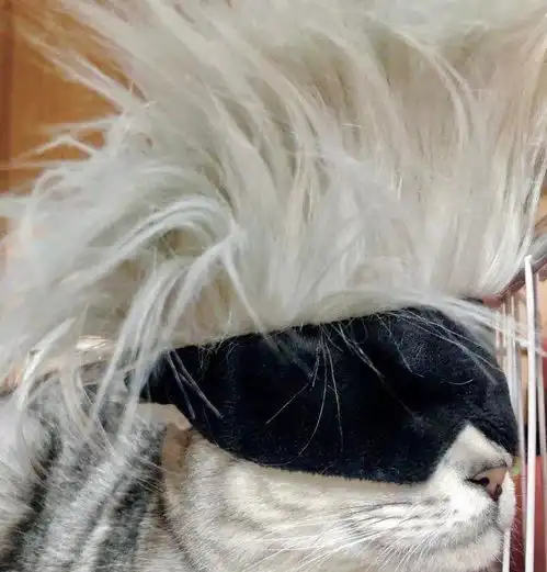 cos五条悟的人太多,猫咪也来插一脚,泰国小哥依然很有创意