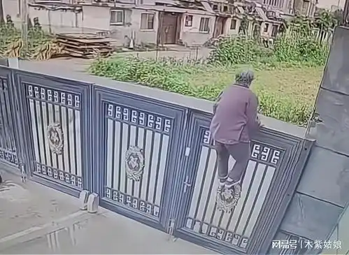 92岁痴呆老人飞檐走壁,24秒轻松翻过2米大门,看监控没崩住