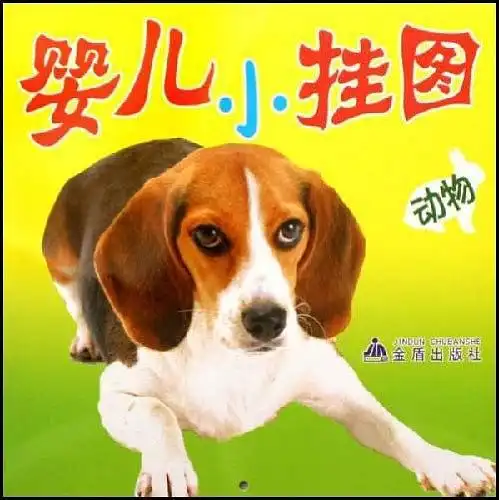 动物婴儿小挂图